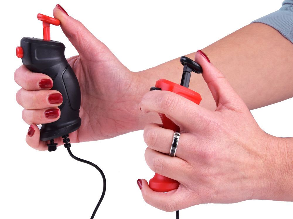 Nuotoliniu būdu valdoma lenktynių trasa su dviem AUDI automobiliais 4,5 m