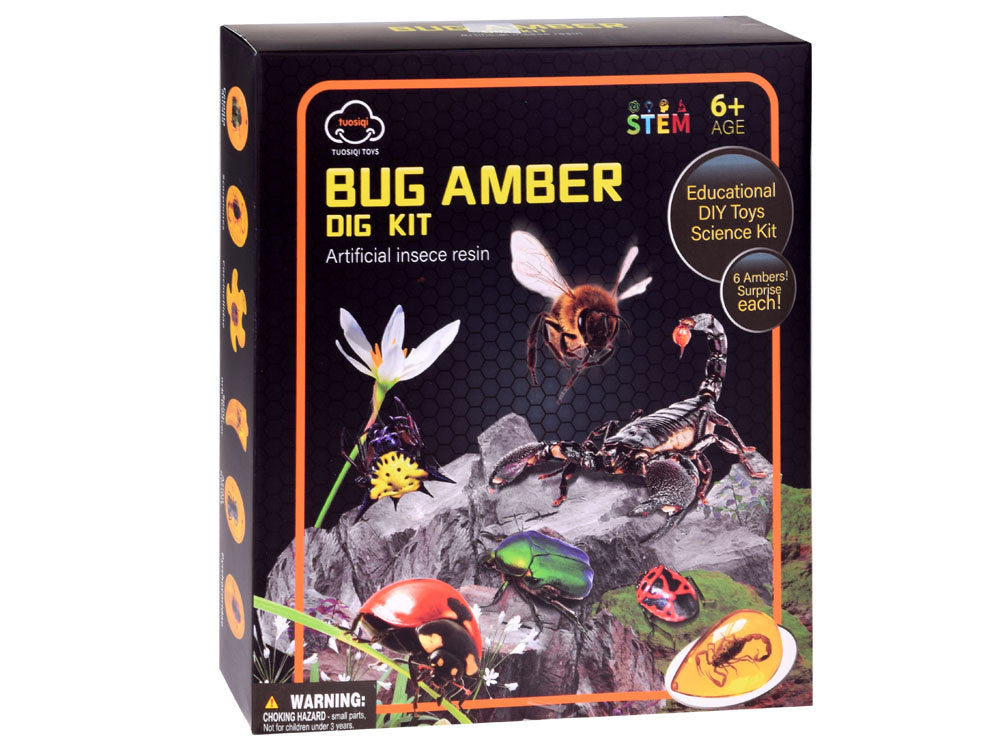 Archeologinių kasinėjimų rinkinys vabzdžių fosilijų