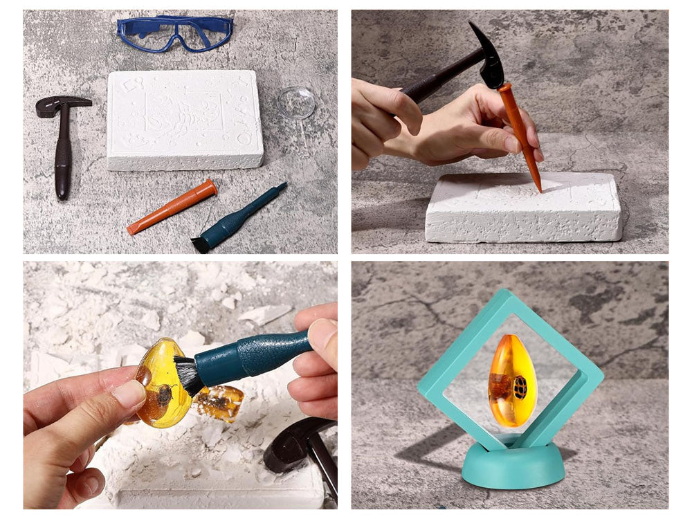 Archeologinių kasinėjimų rinkinys vabzdžių fosilijų