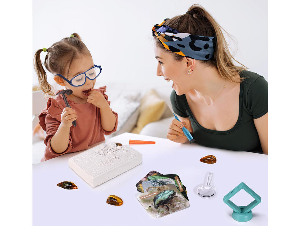 Archeologinių kasinėjimų rinkinys vabzdžių fosilijų