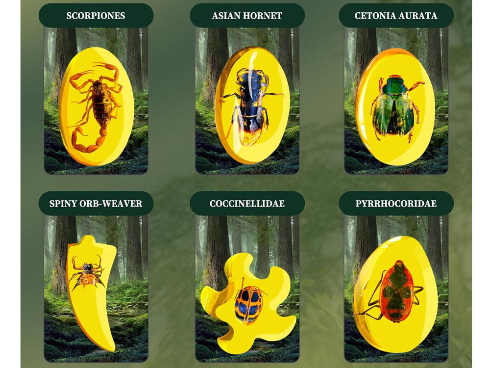 Archeologinių kasinėjimų rinkinys vabzdžių fosilijų