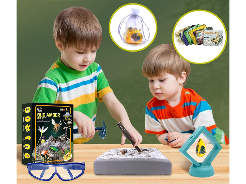 Archeologinių kasinėjimų rinkinys vabzdžių fosilijų