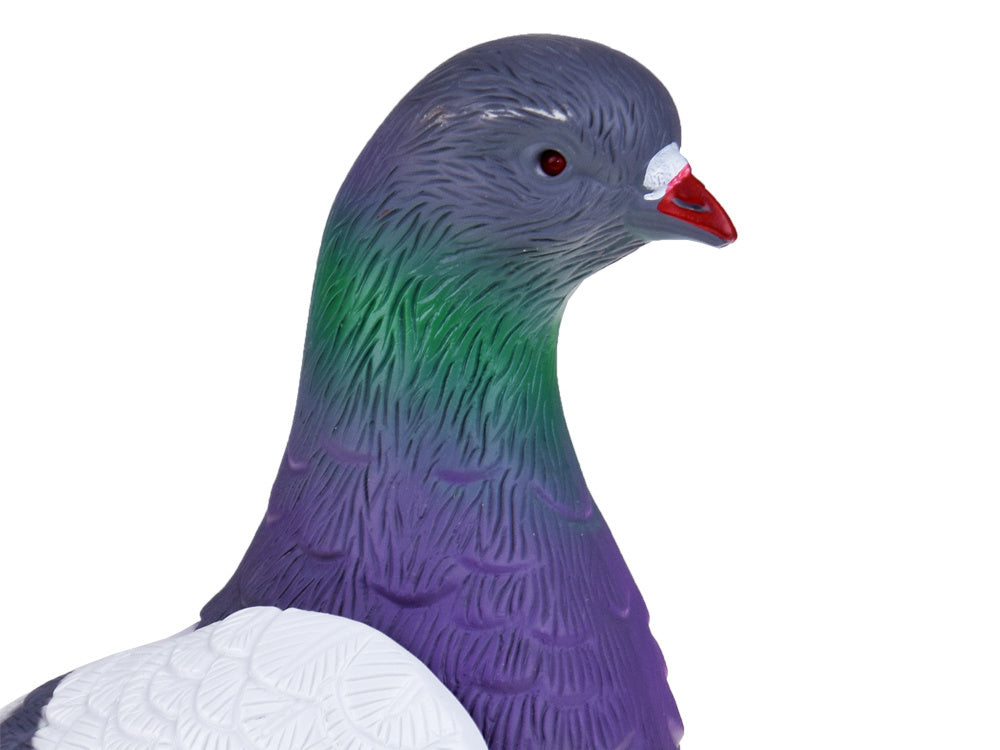 Interaktyvus žaislas, balandis