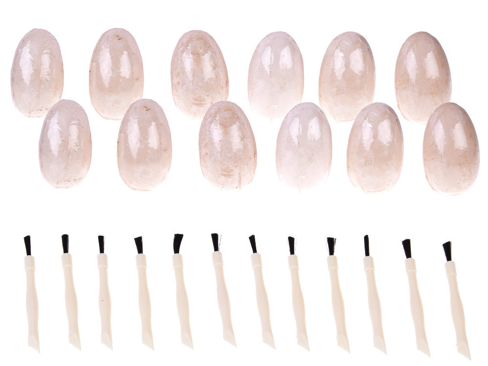 Archeologijos rinkinys 12 el, dinozauras