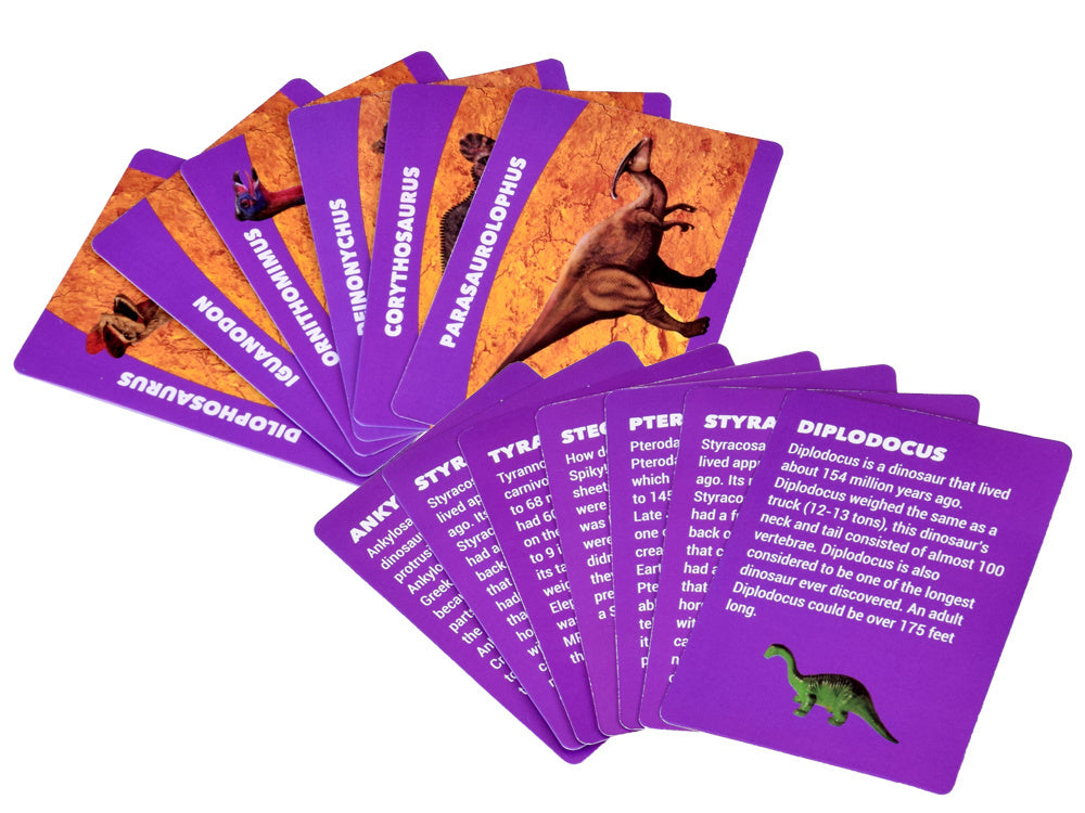 Archeologijos rinkinys 12 el, dinozauras