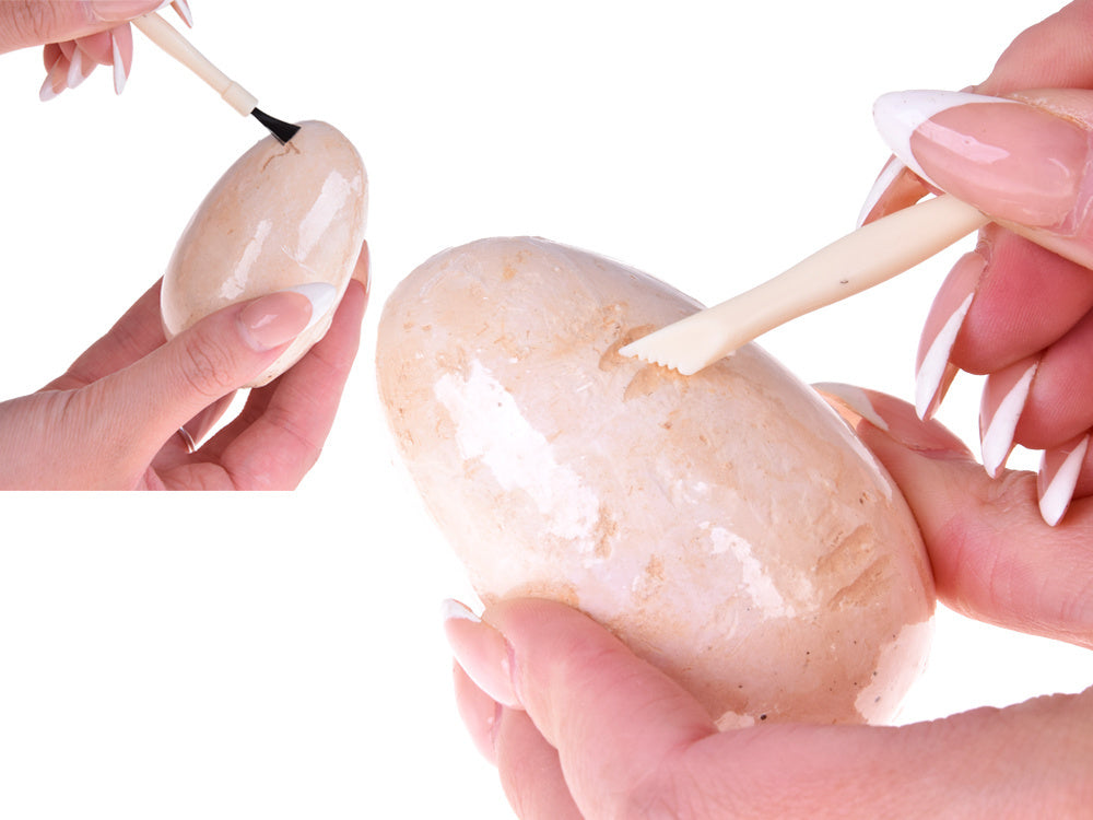 Archeologijos rinkinys 12 el, dinozauras