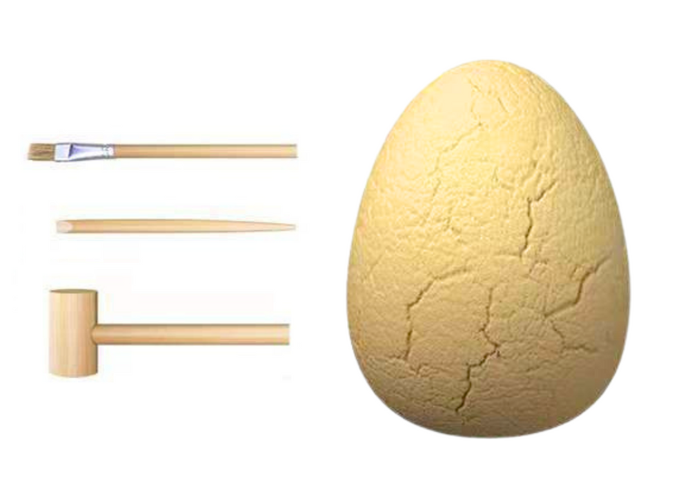 Archeologinis dinozauro kiaušinio rinkinys