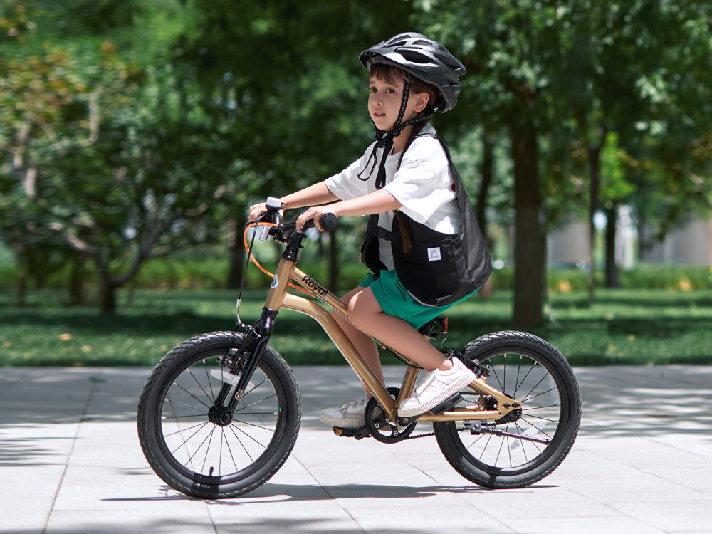 Vaikiškas dviratis Gold Kable-Belt 16", auksinė, RoyalBaby