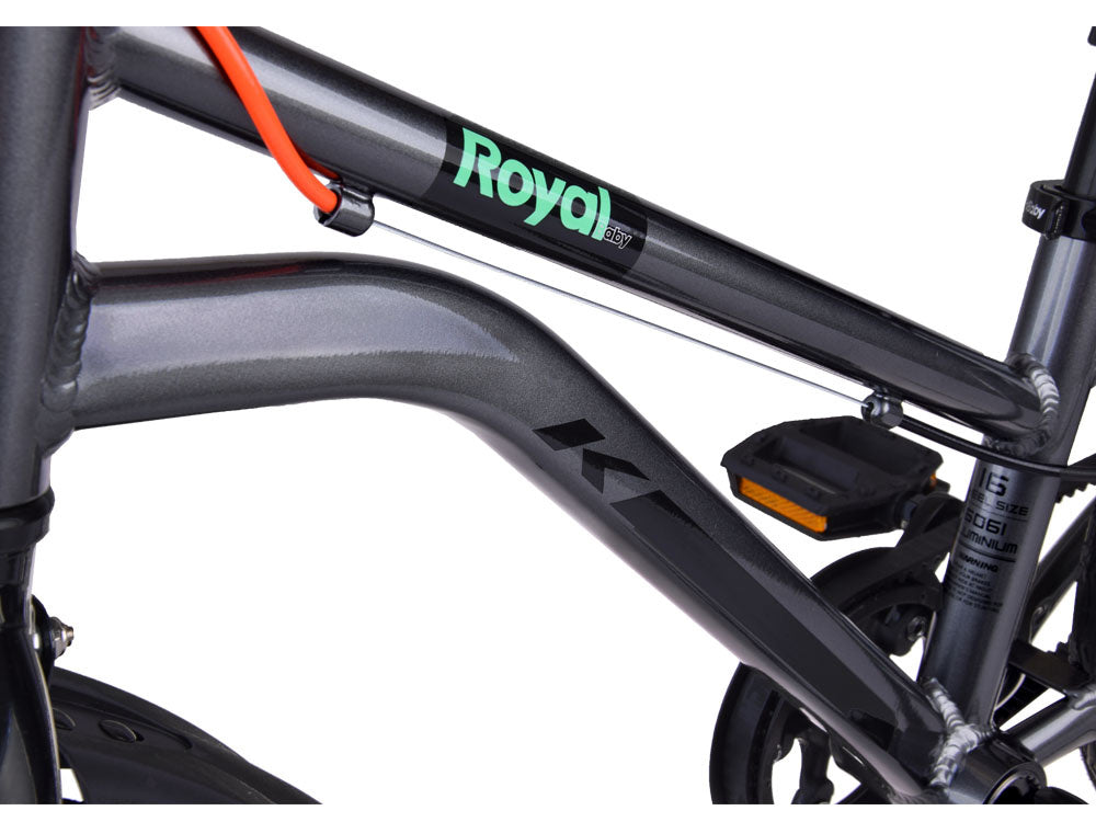 Vaikiškas dviratis Gold Kable-Belt 18", juodas, RoyalBaby