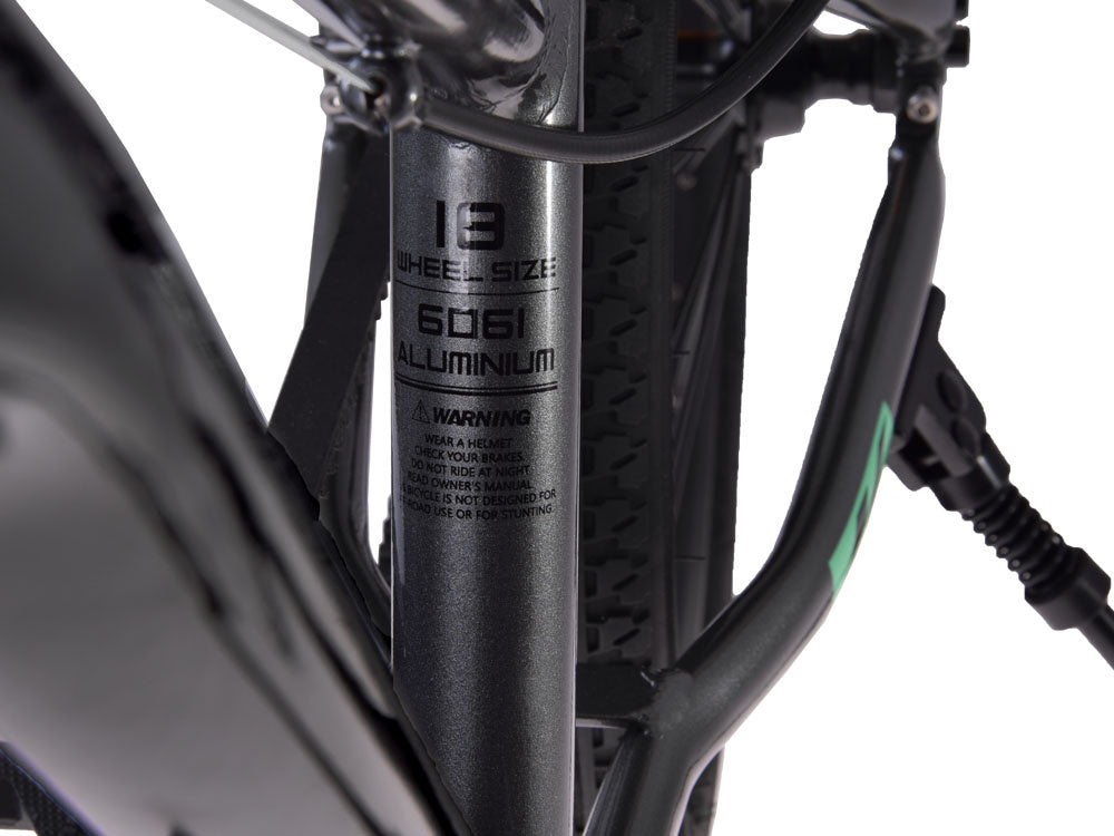 Vaikiškas dviratis Gold Kable-Belt 18", juodas, RoyalBaby