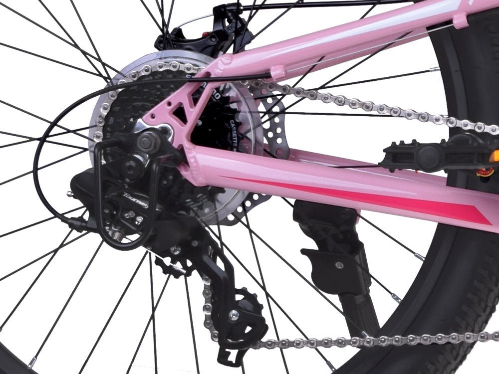 Dviratis vaikams ir paaugliams 24" STUDENT BICYCLE, rožinis, Royal Baby