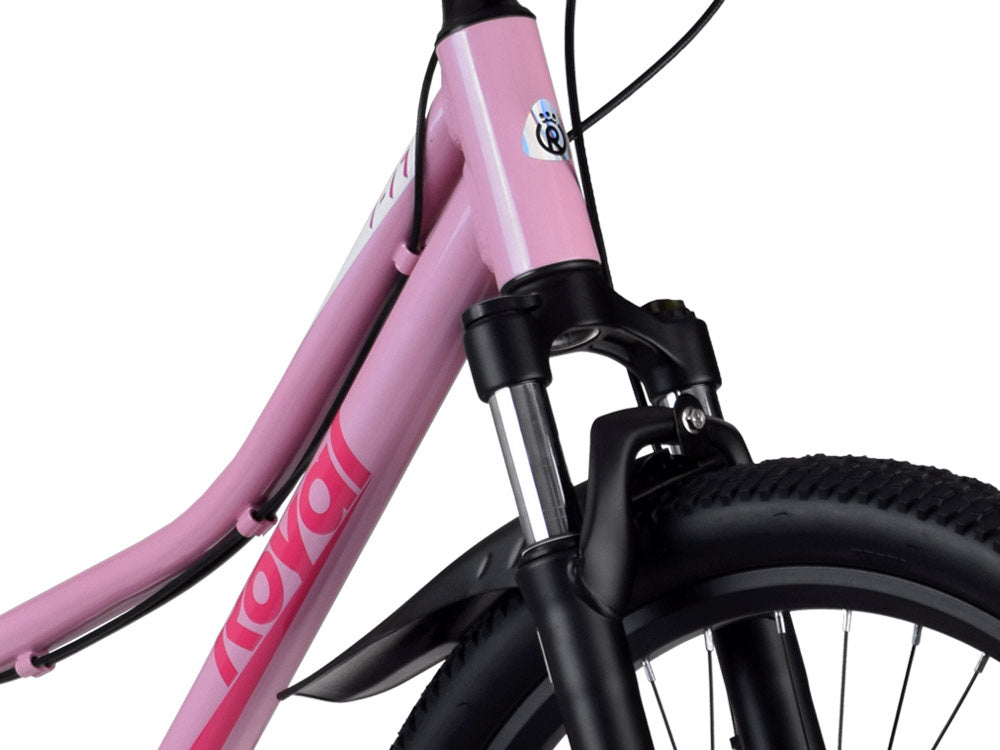 Dviratis vaikams ir paaugliams 24" STUDENT BICYCLE, rožinis, Royal Baby