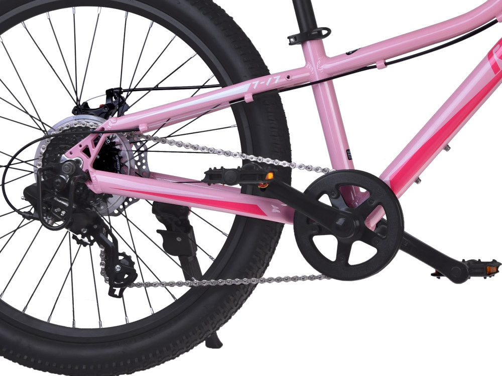 Dviratis vaikams ir paaugliams 24" STUDENT BICYCLE, rožinis, Royal Baby