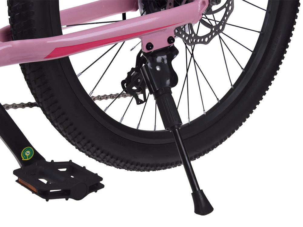 Dviratis vaikams ir paaugliams 24" STUDENT BICYCLE, rožinis, Royal Baby