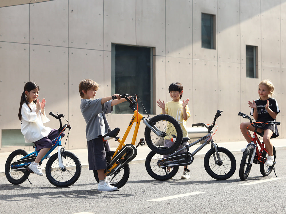 Vaikiškas dviratis 16 colių, raudonas, Royal Baby