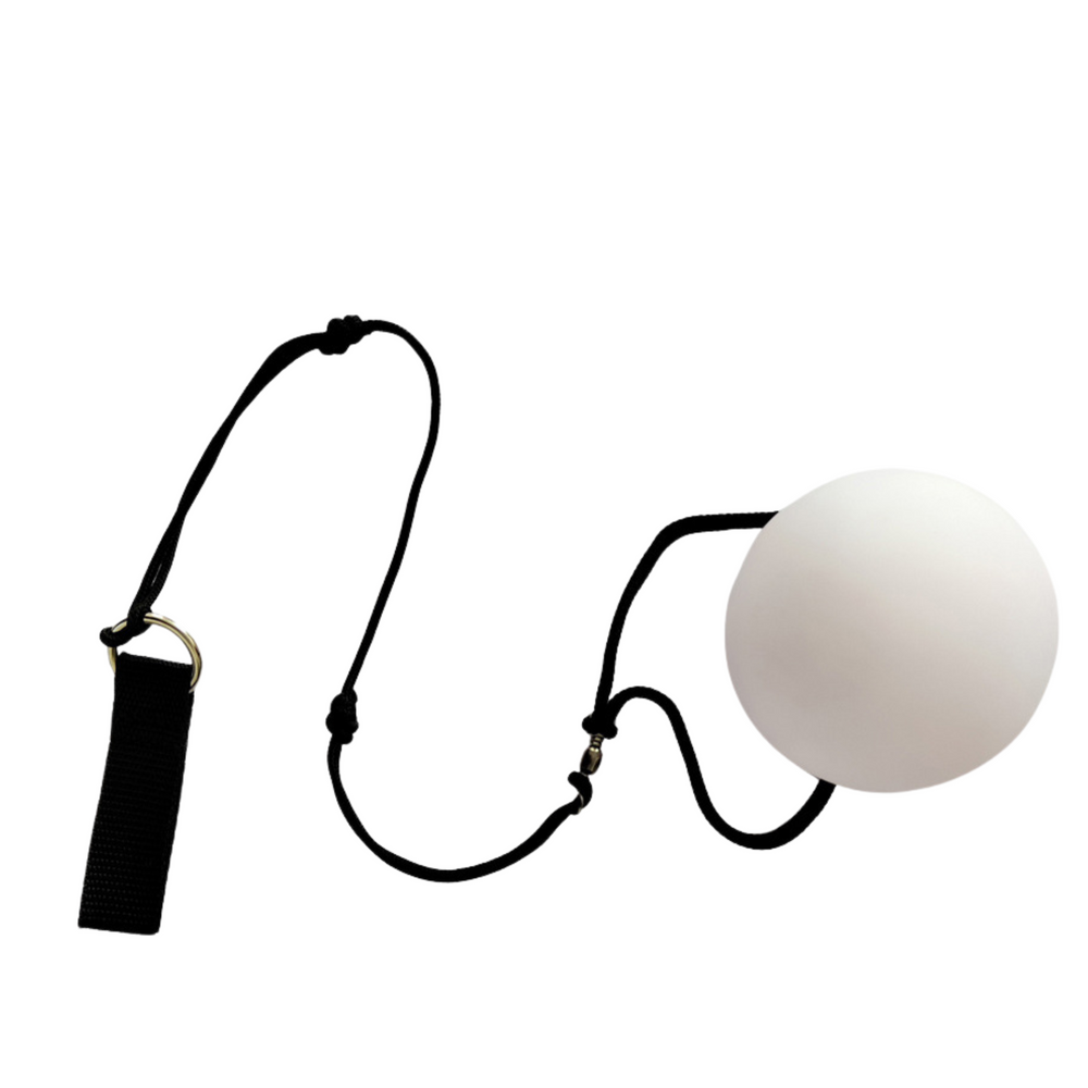 Šviečiantis LED kamuolys su virvele