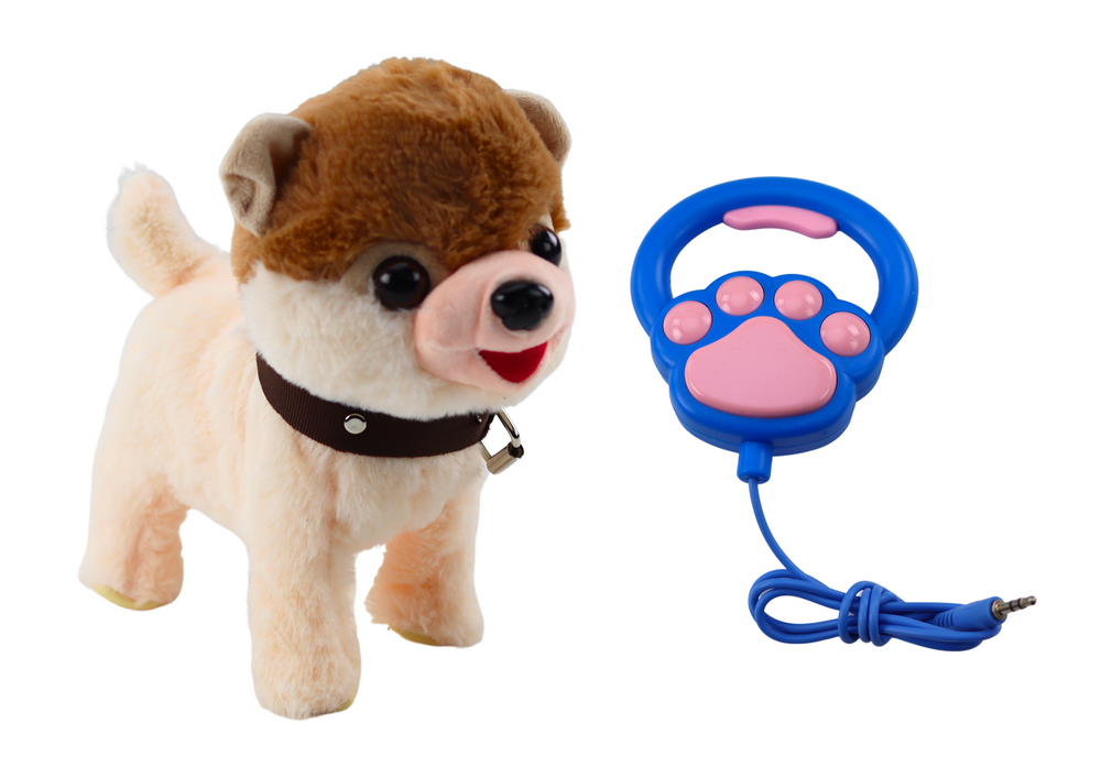 Interaktyvus šuo su pavadėliu, baltas