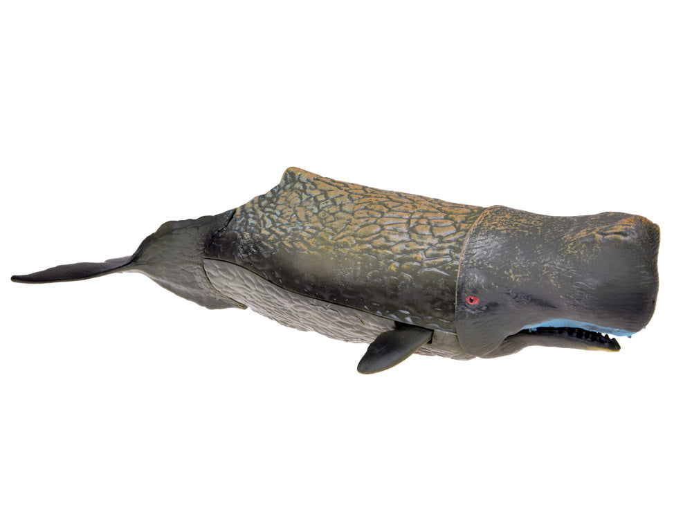 Jūrų gyvūnų figūrėlių rinkinys