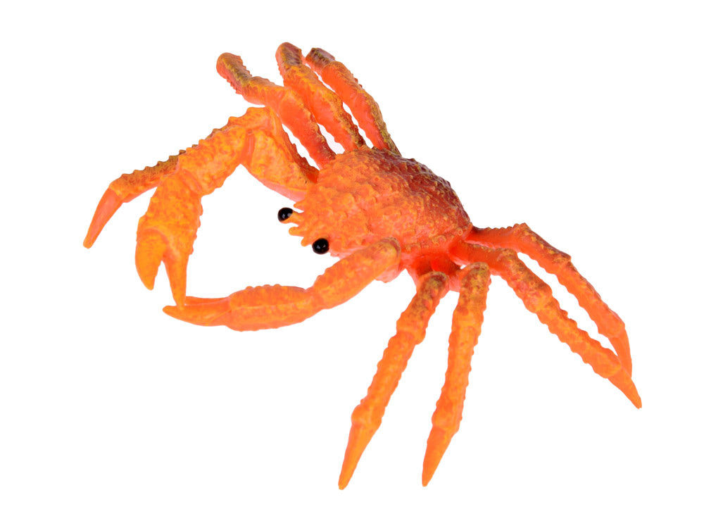 Jūrų gyvūnų rinkinys figūrėlės 10 el