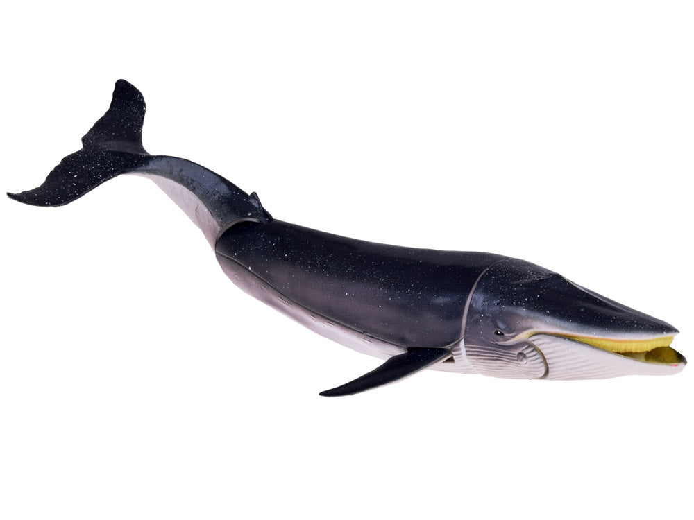 Jūrų gyvūnų rinkinys figūrėlės 10 el, banginis