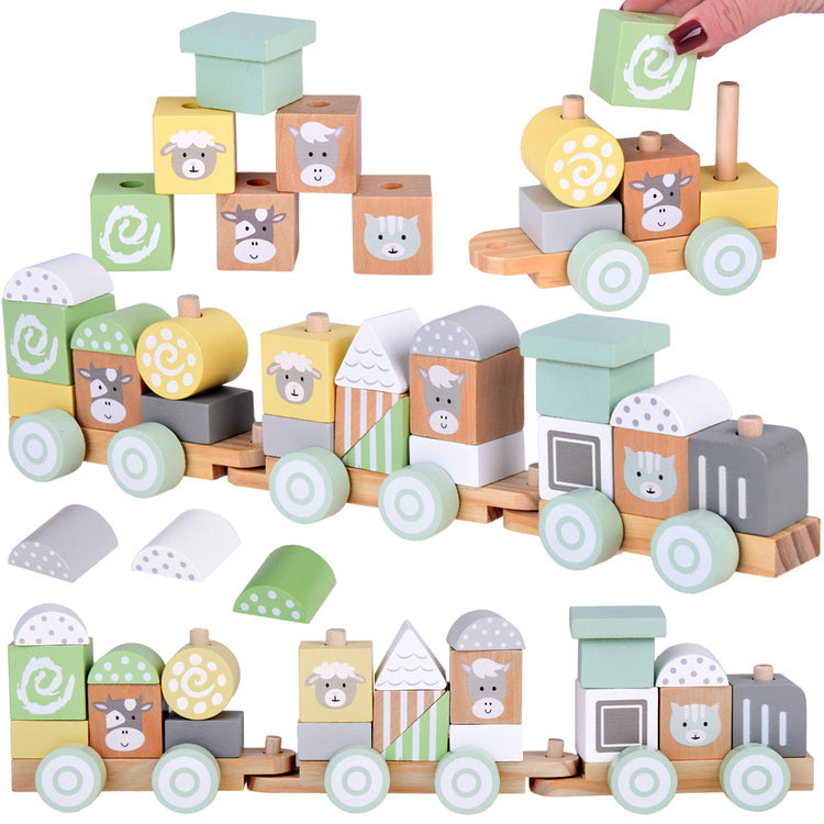 Medinis traukinys su vagonais ir kaladėlėmis 23 el.