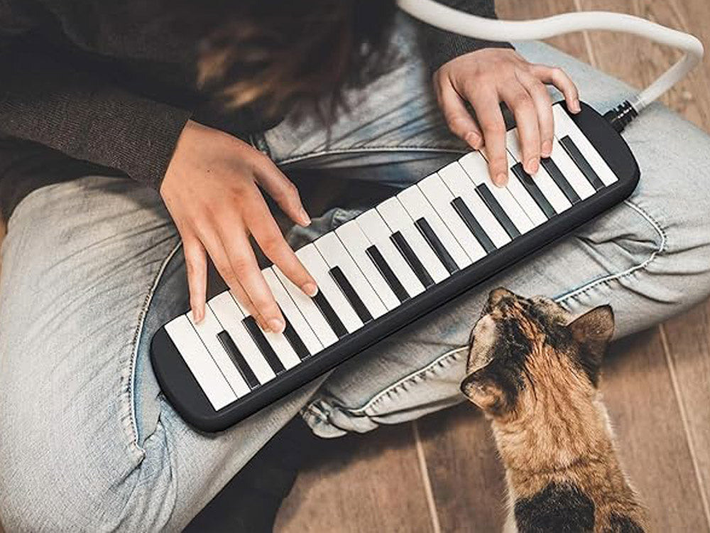 Muzikos instrumentas „Klavišinė armonika“ su dviem kandikliais