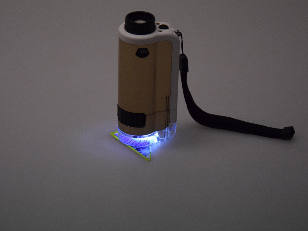 Kišeninis mikroskopas vaikams 100x 250x, kreminis