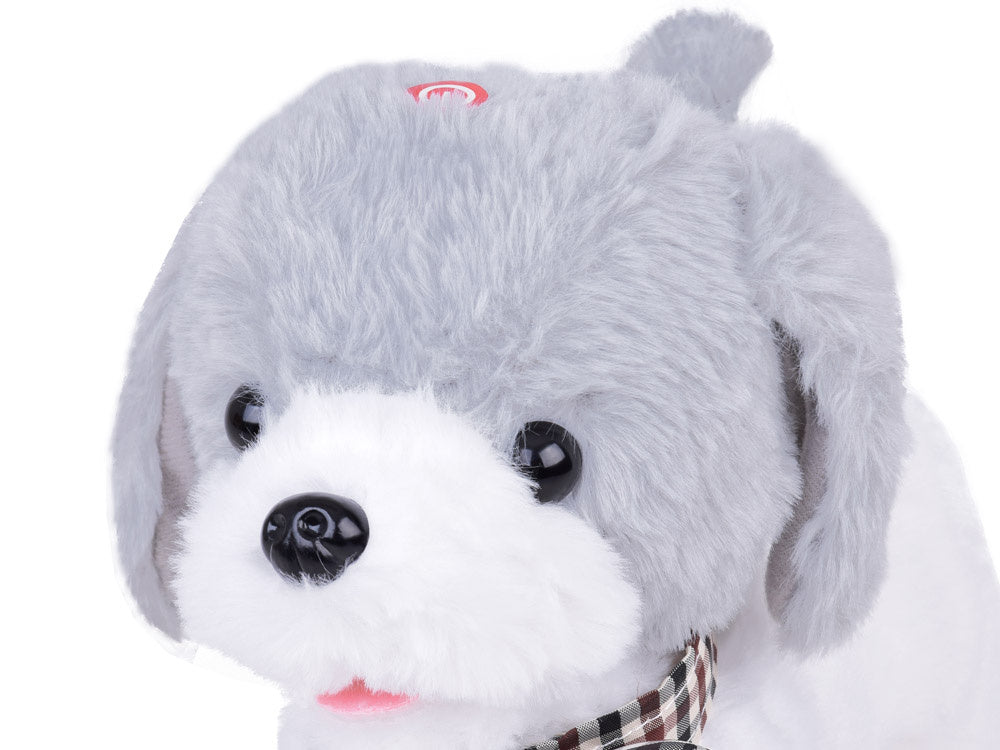 Nuotoliniu būdu valdomas pliušinis šuo CHARLIE