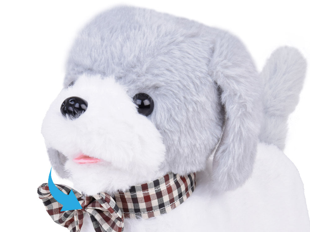 Nuotoliniu būdu valdomas pliušinis šuo CHARLIE