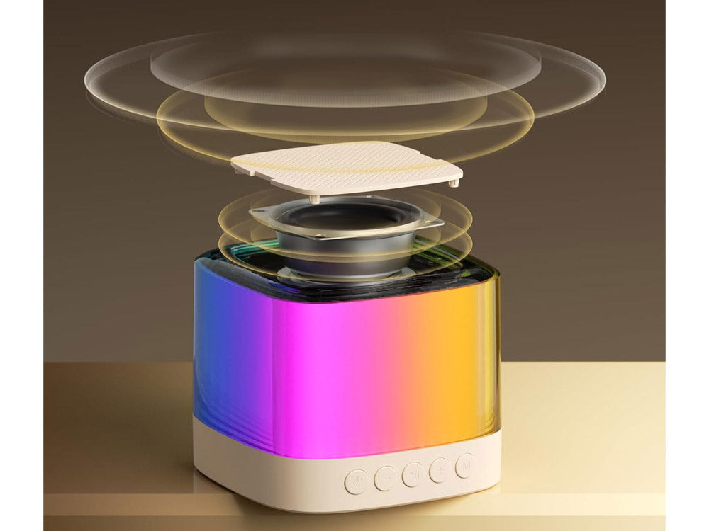 Nešiojamas belaidis garsiakalbis su 2 mikrofonais ir „Bluetooth“