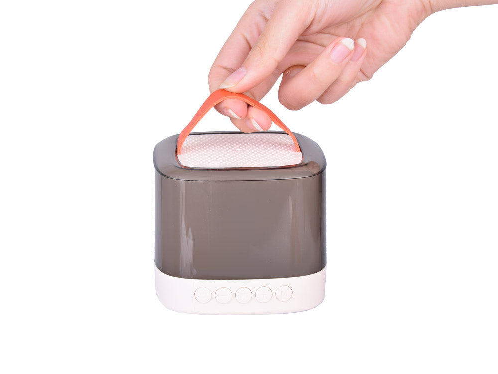 Nešiojamas belaidis garsiakalbis su 2 mikrofonais ir „Bluetooth“