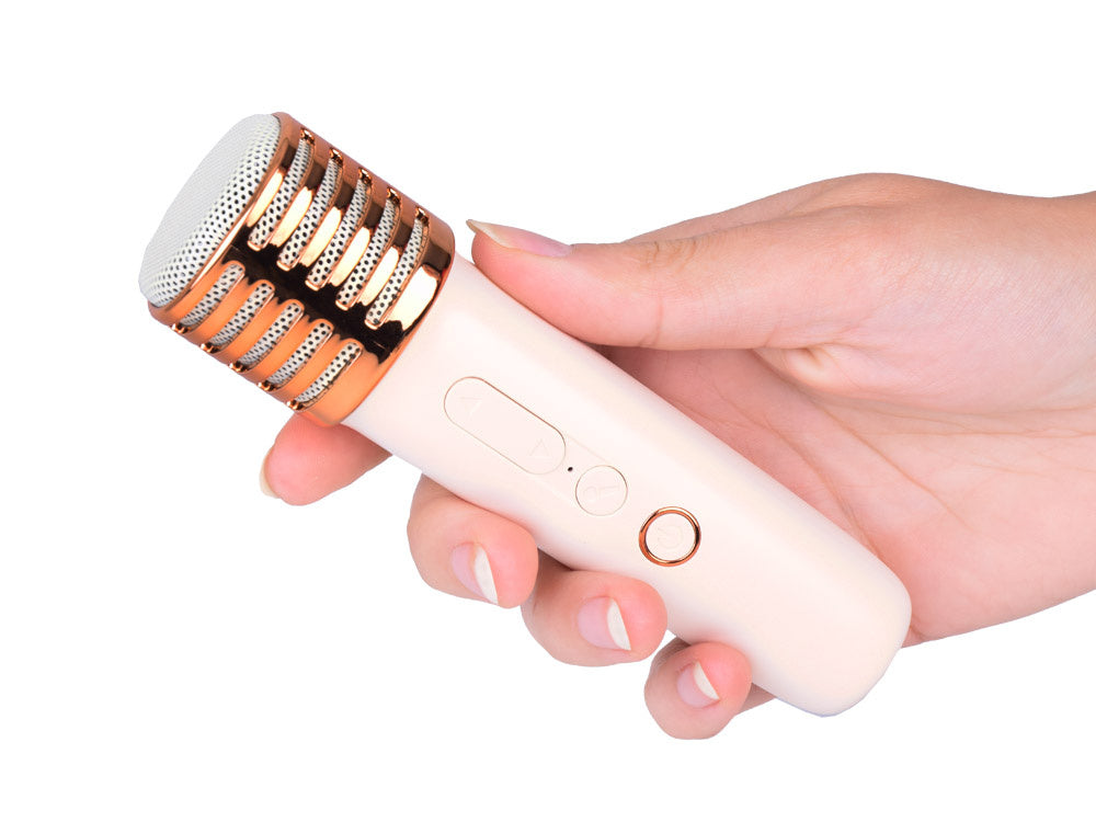 Nešiojamas belaidis garsiakalbis su 2 mikrofonais ir „Bluetooth“