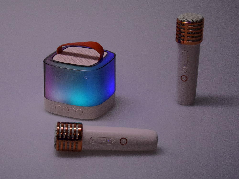 Nešiojamas belaidis garsiakalbis su 2 mikrofonais ir „Bluetooth“