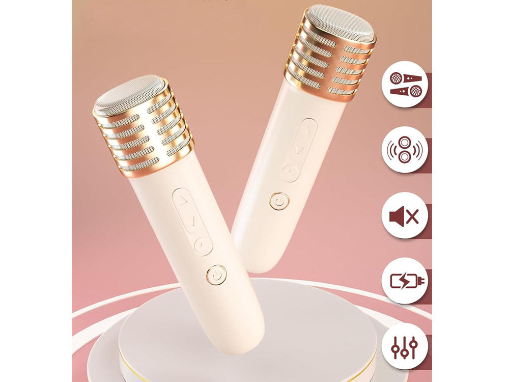 Nešiojamas belaidis garsiakalbis su 2 mikrofonais ir „Bluetooth“