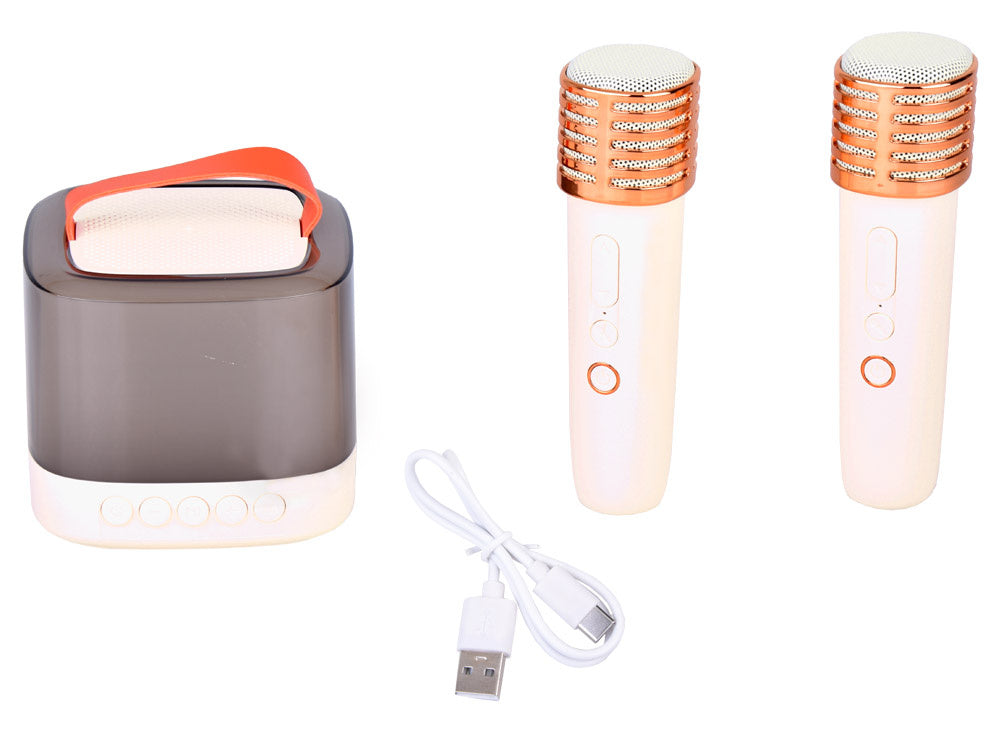 Nešiojamas belaidis garsiakalbis su 2 mikrofonais ir „Bluetooth“