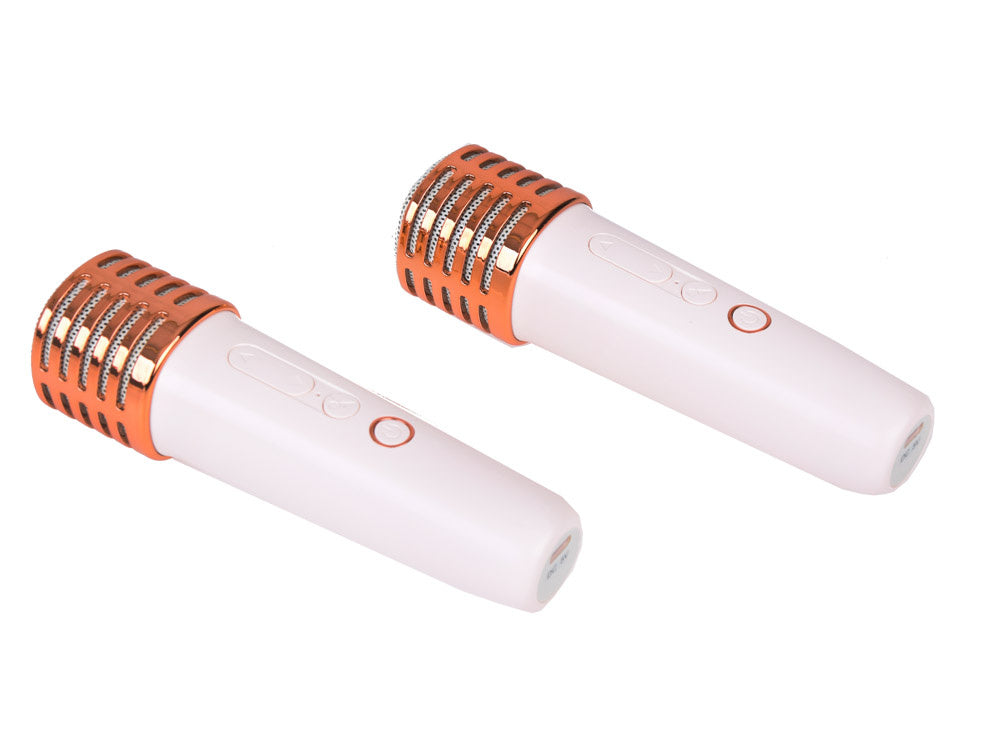 Nešiojamas belaidis garsiakalbis su 2 mikrofonais ir „Bluetooth“