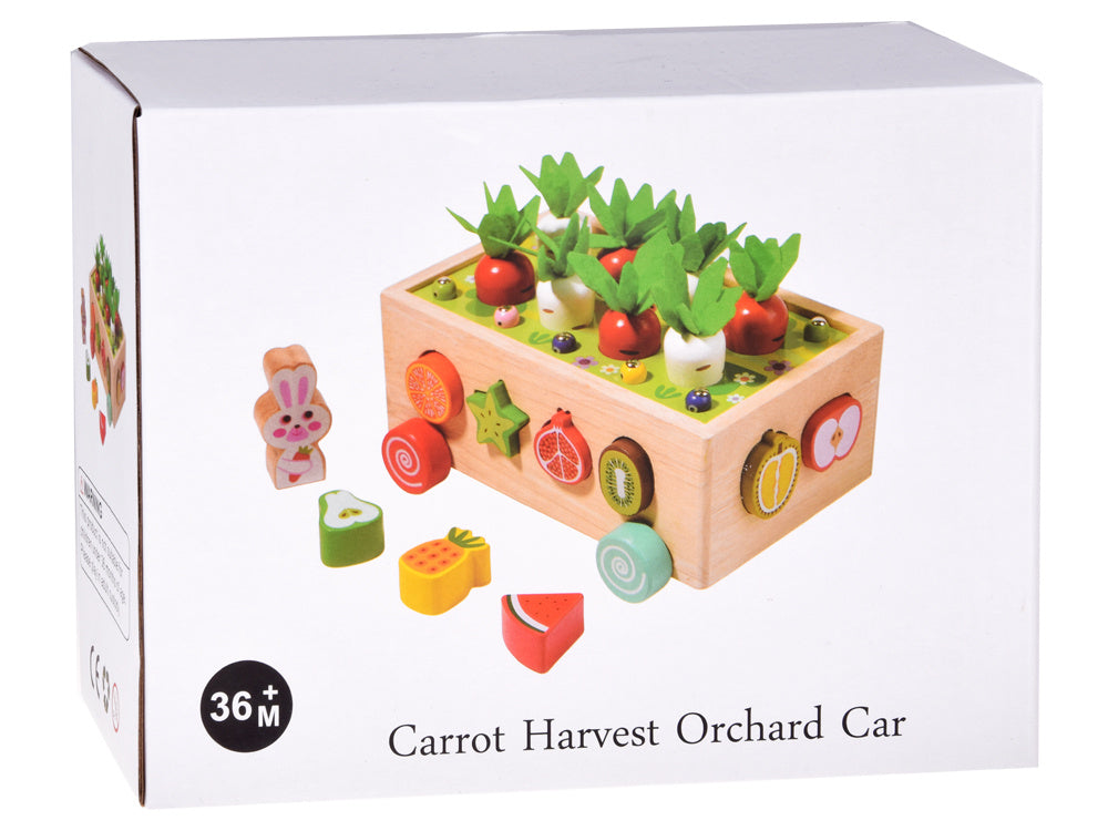 Montessori medinis vežimėlis rūšiuoklis su priedais