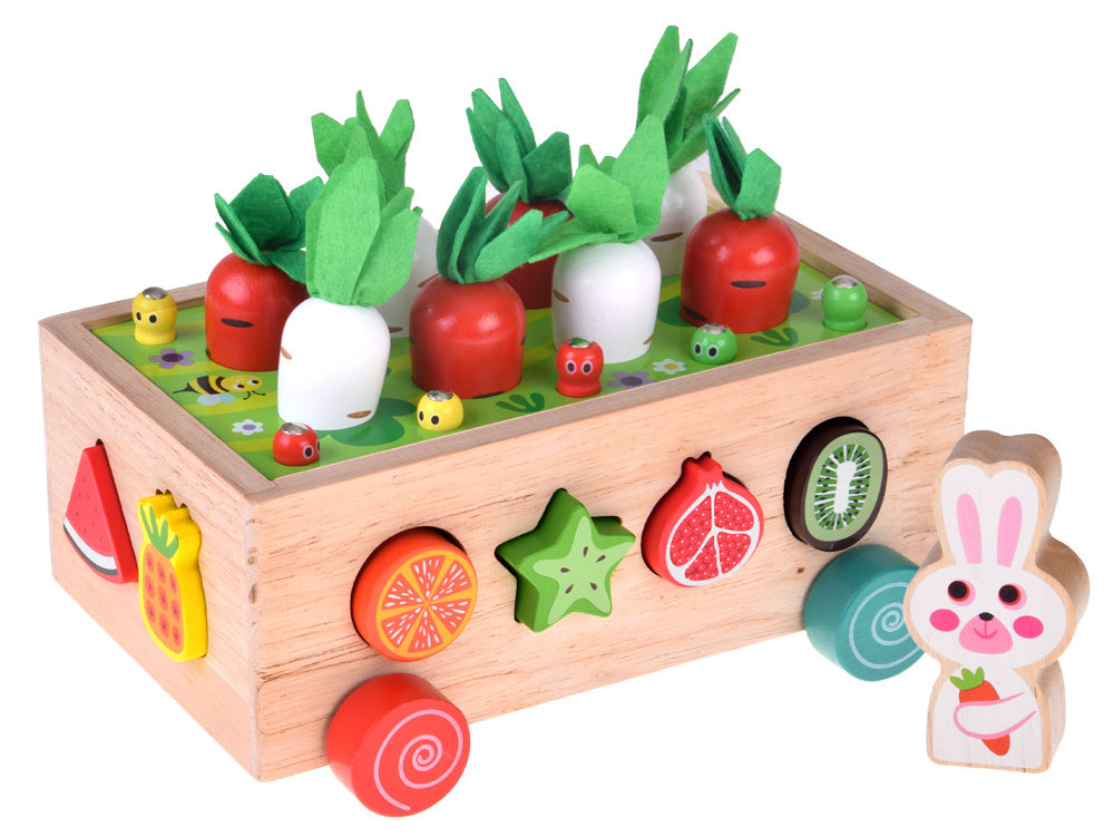 Montessori medinis vežimėlis rūšiuoklis su priedais