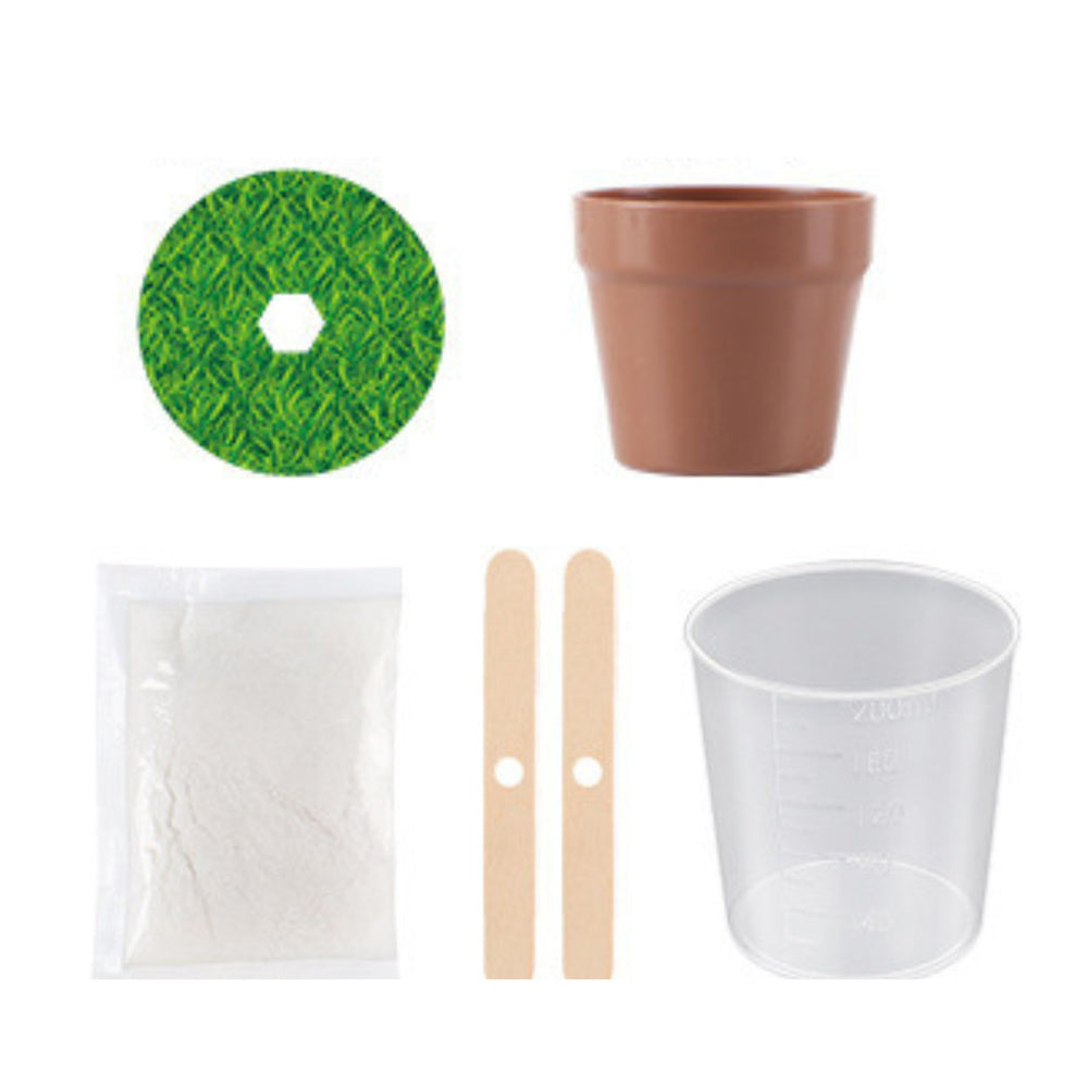 Magiškas kristalų medis edukacinis rinkinys