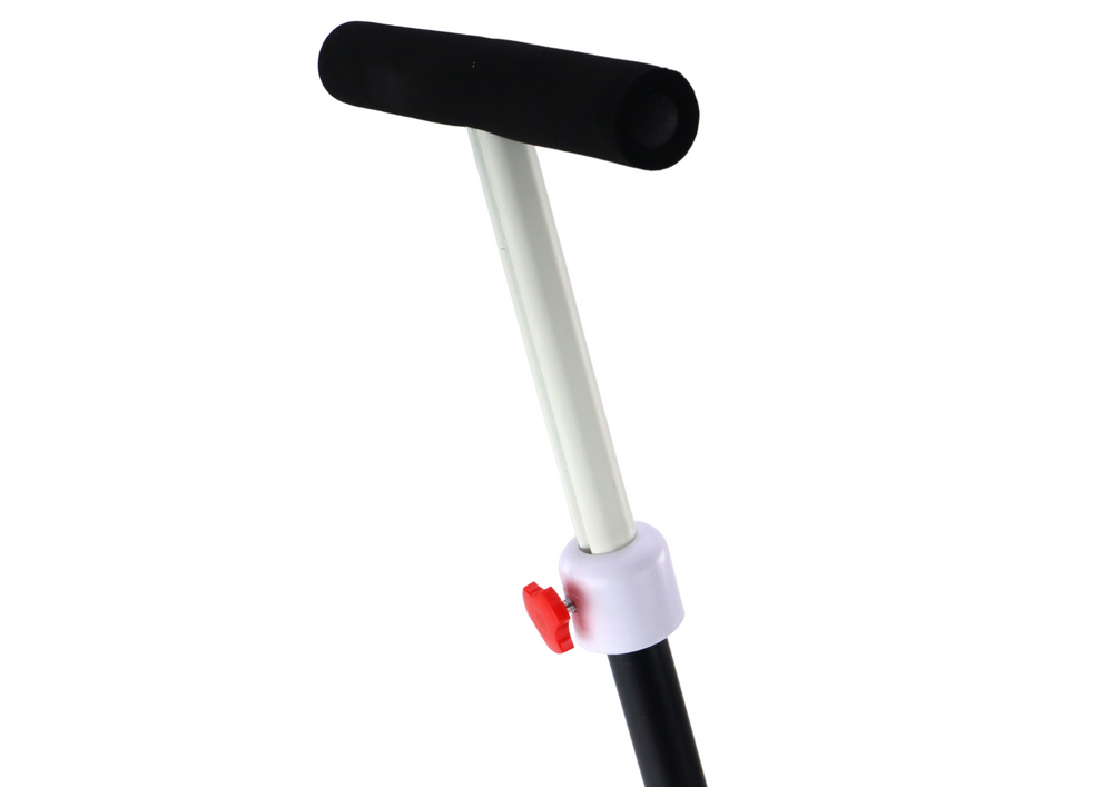 Triratukas su rankena PRO50 vaikams 2in1, juodas