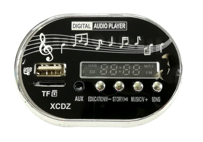 Muzikos skydelis elektromobiliui Audi R8