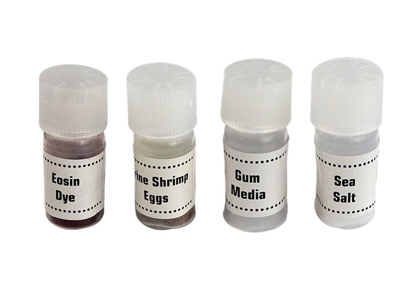 Vaikiškas mikroskopas 300x 600x 1200x lagamine, 28 el.