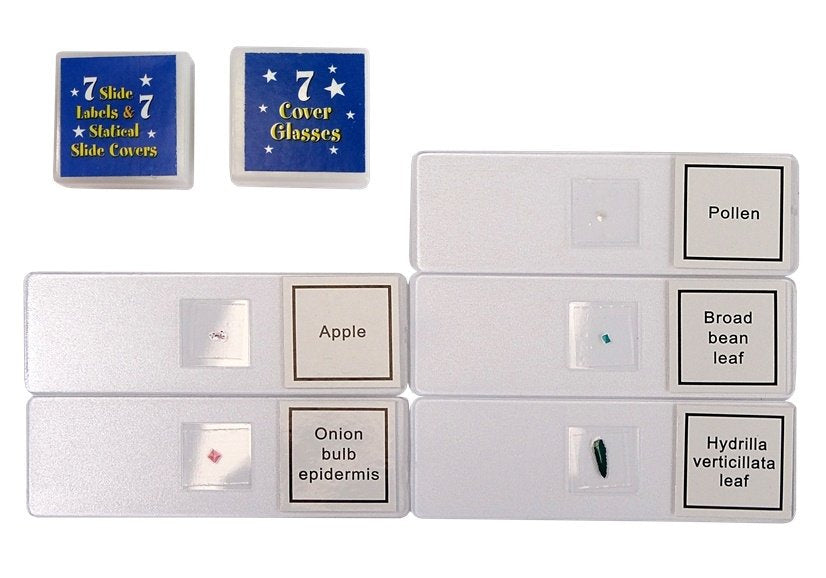 Vaikiškas mikroskopas 300x 600x 1200x lagamine, 28 el.