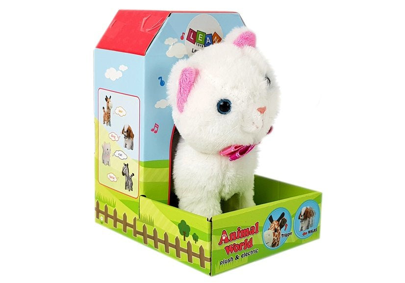 Interaktyvi balta katė