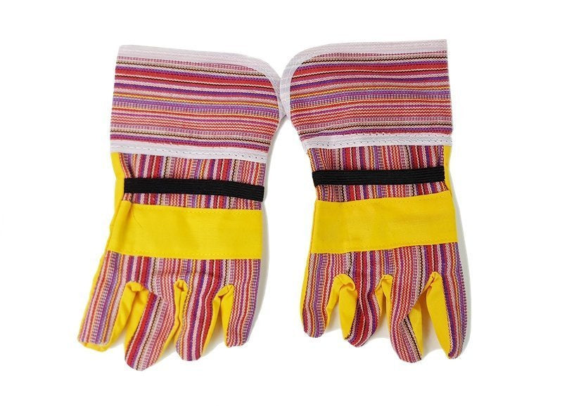 Pjūklo įrankių rinkinys