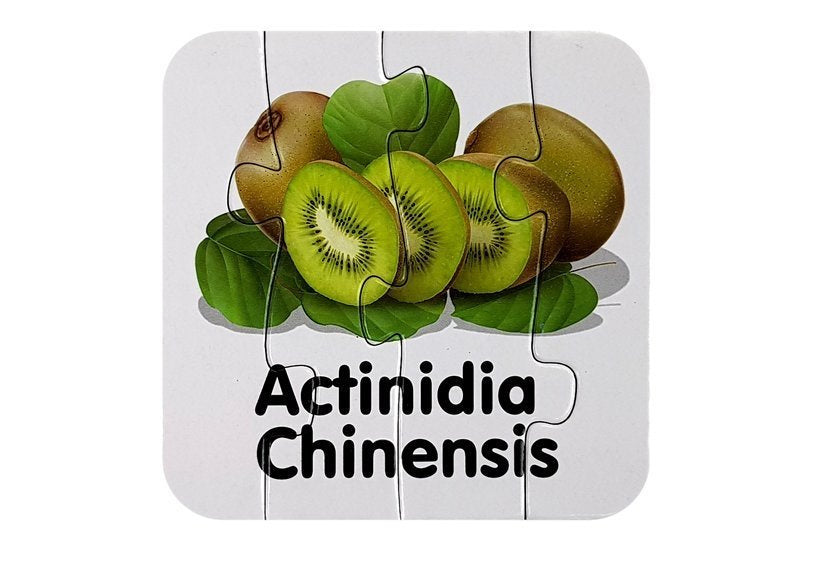 Mokomoji dėlionė - Vaisiai 10 pav. anglų kalba