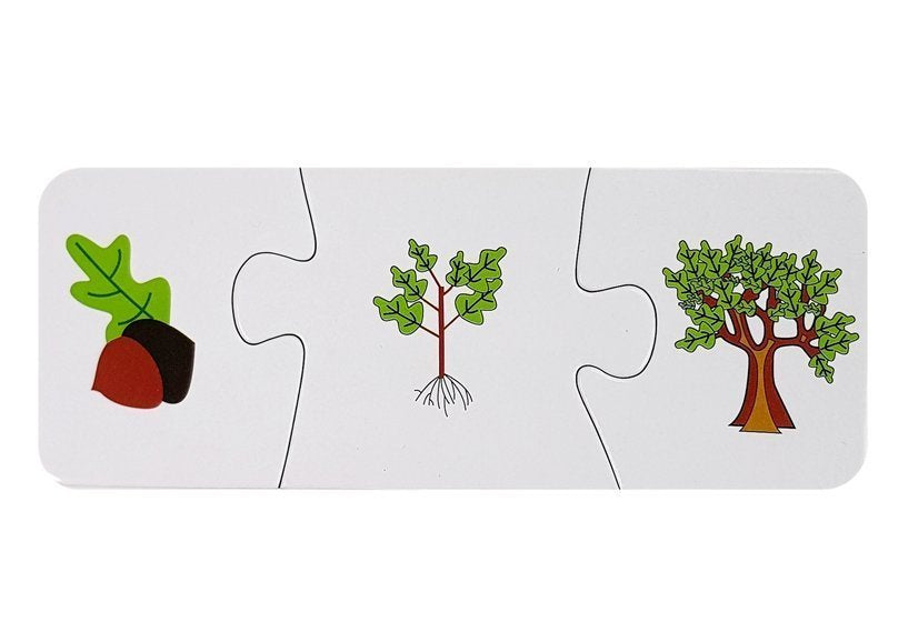 Mokomoji dėlionė - Veiksmų seka 10 pav. anglų kalba