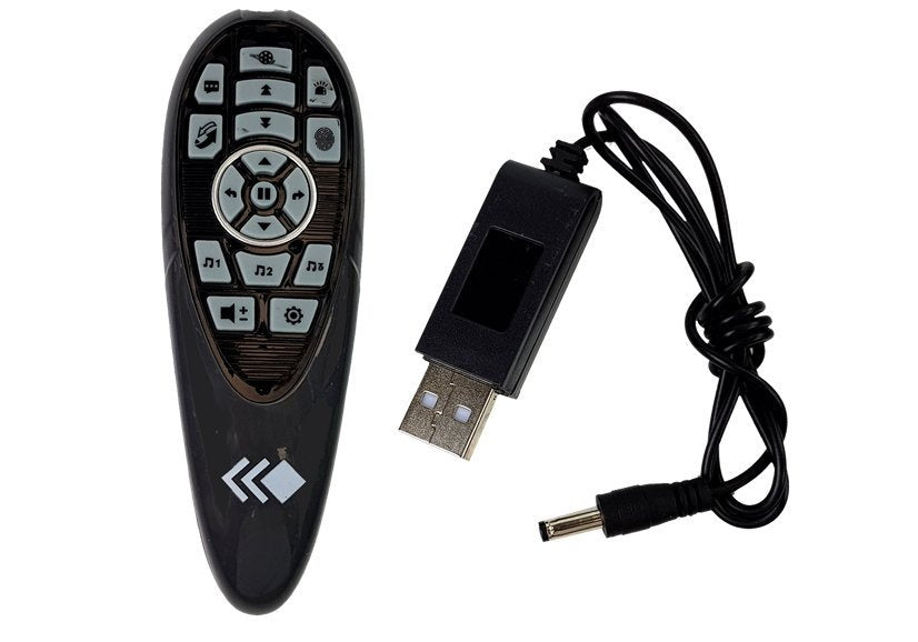 Interaktyvus nuotoliniu būdu valdomas robotas K4