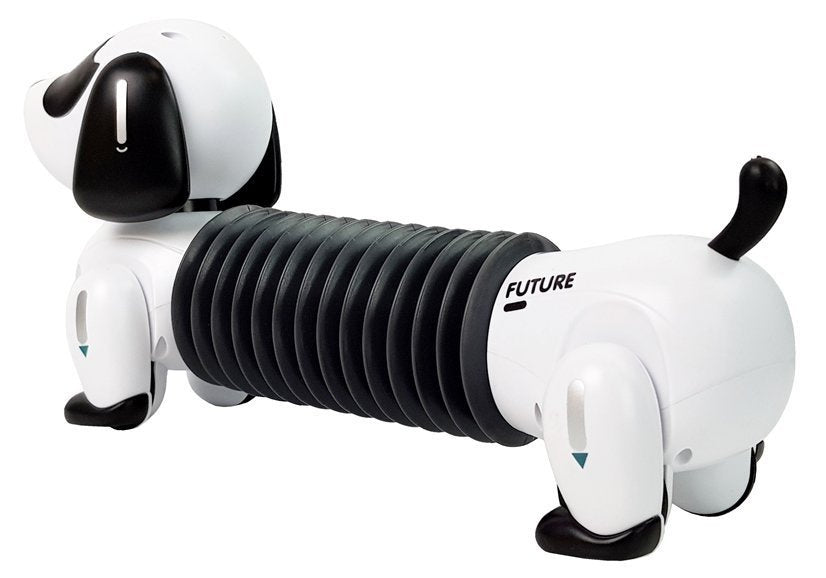 Interaktyvus nuotoliniu būdu valdomas robotas Šuo