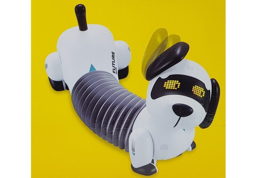 Interaktyvus nuotoliniu būdu valdomas robotas Šuo